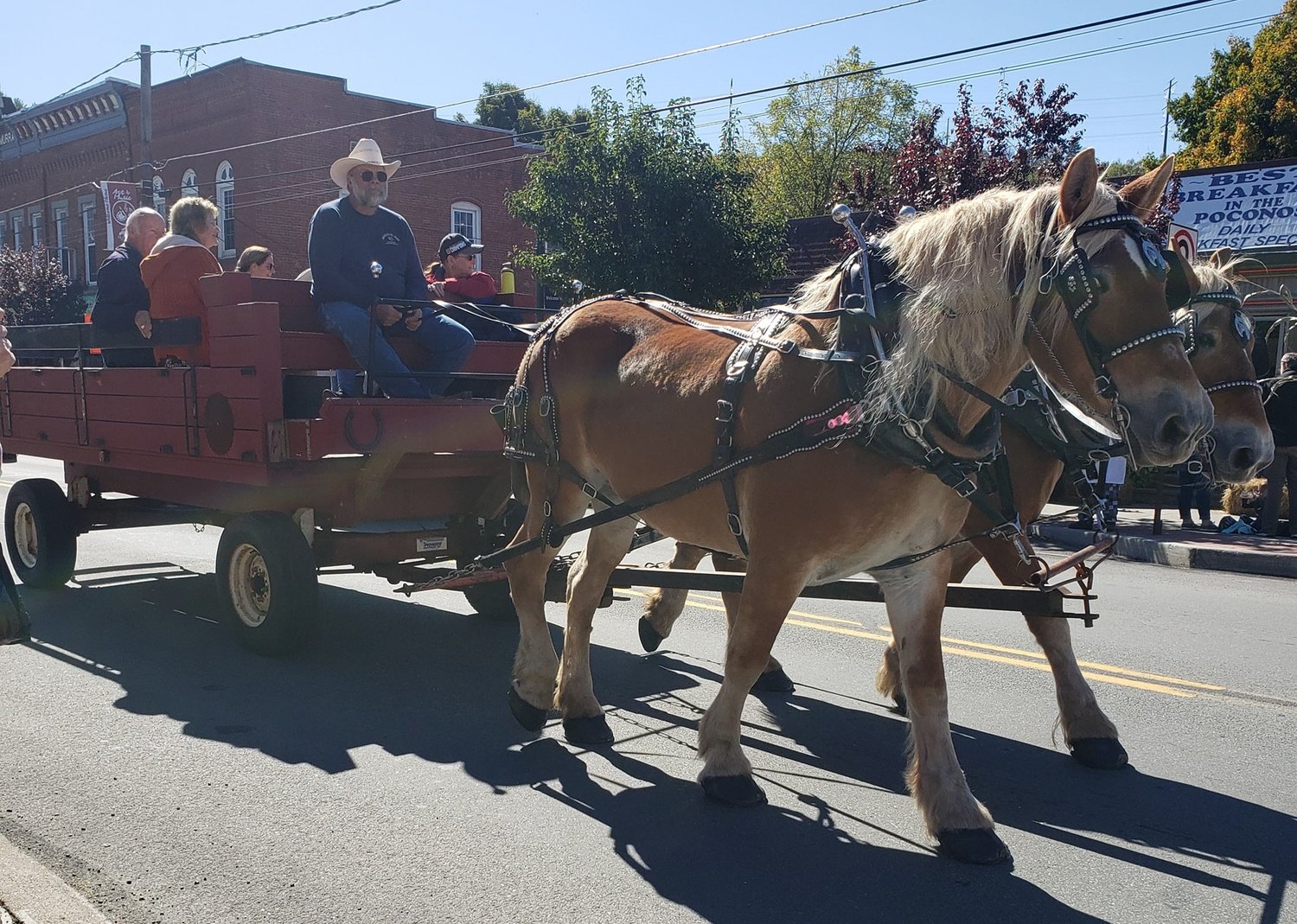 There will be horse-drawn wagon rides at the Hawley Harvest Hoedown.